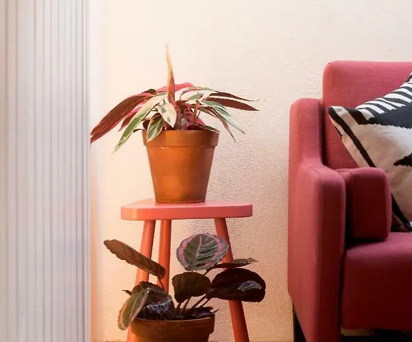 Patio Sao Vicente * Lisboa